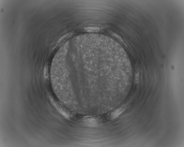 X0000081470620200702092341