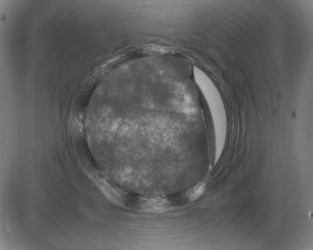 X0000081470621200702092341