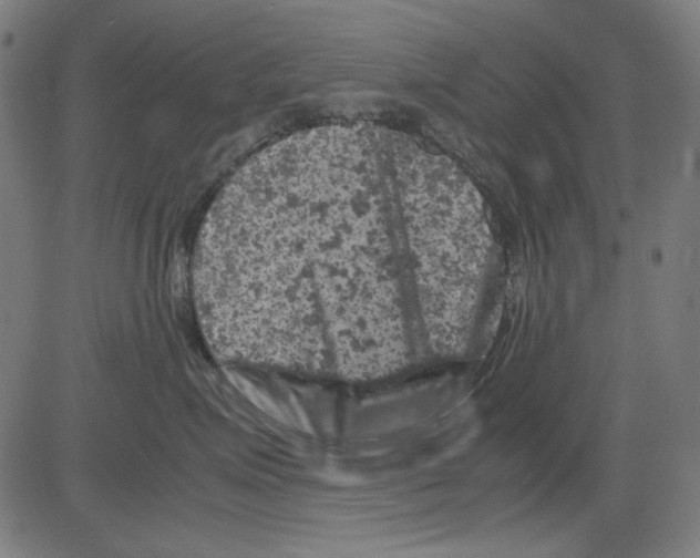 X0000081470623200702092341