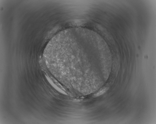 X0000081470624200702092341