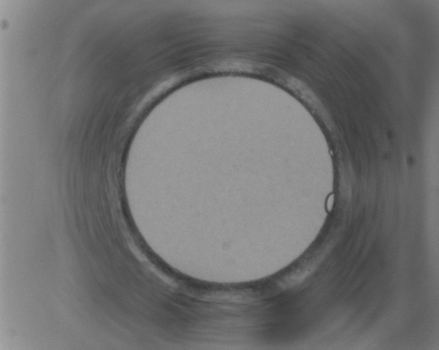 X0000081470625200702092340