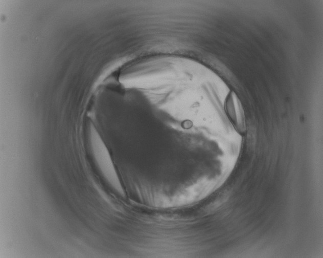 X0000081470626200702092340