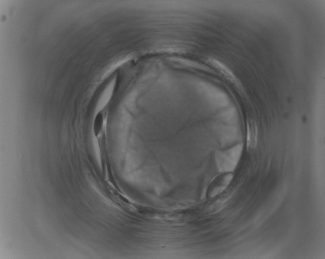 X0000081470627200702092340