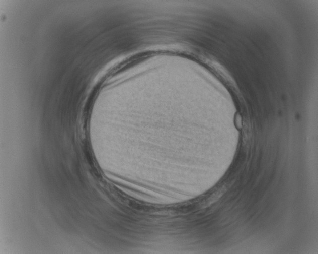 X0000081470628200702092341