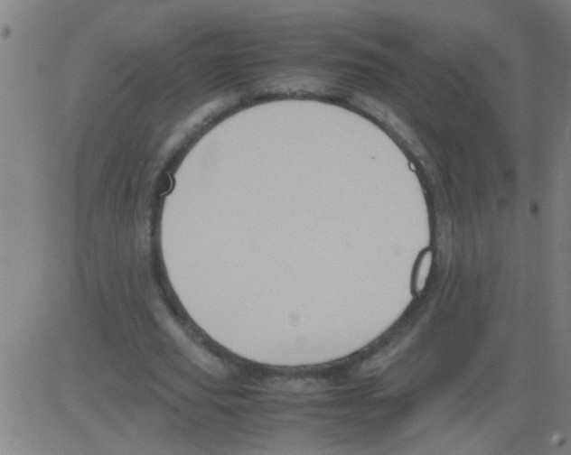 X0000081470629200702092341