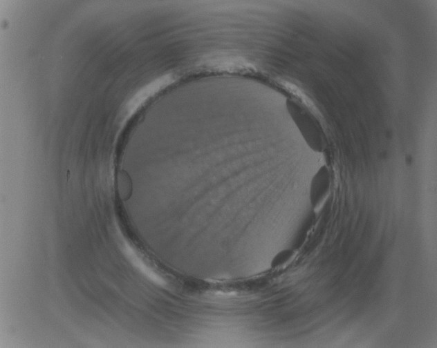 X0000081470630200702092341