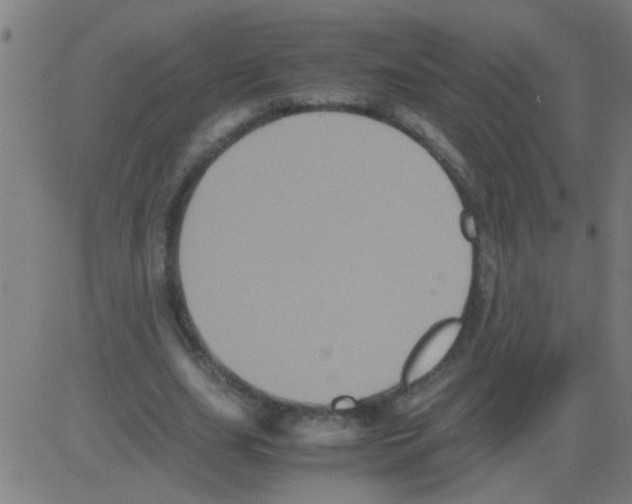 X0000081470631200702092341