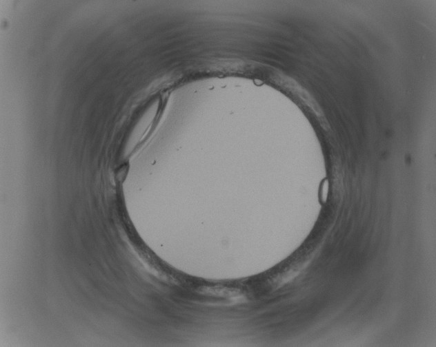 X0000081470633200702092341