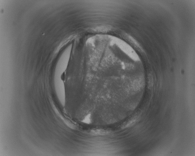 X0000081470634200702092341