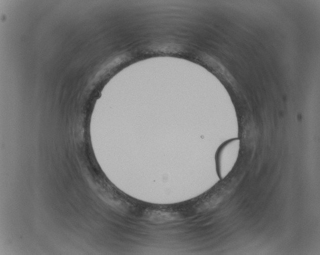 X0000081470635200702092341