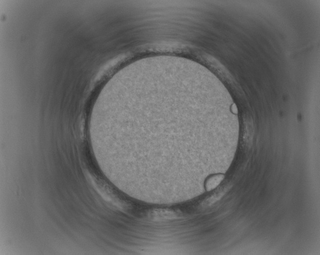 X0000081470636200702092341