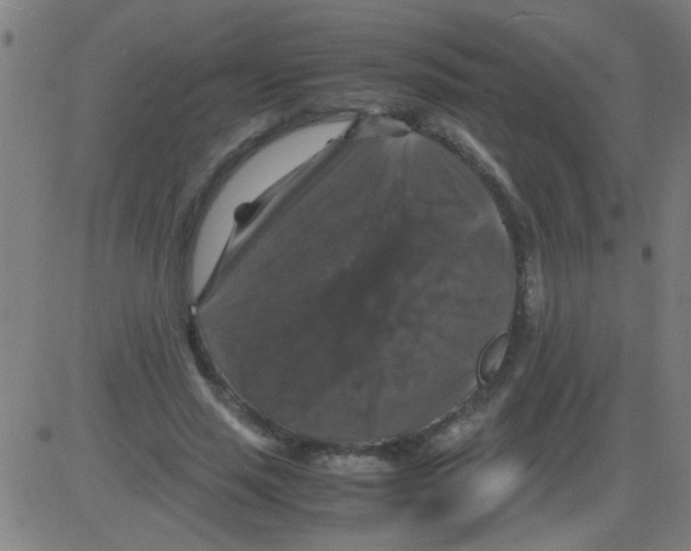 X0000081470637200702092341