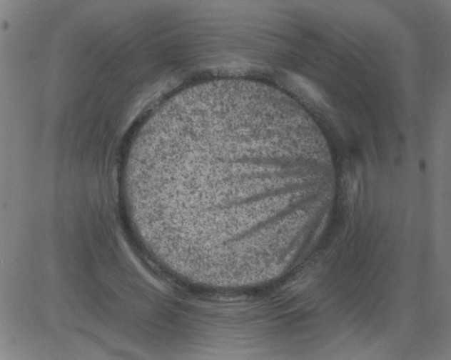 X0000081470638200702092341