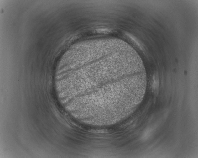 X0000081470639200702092341