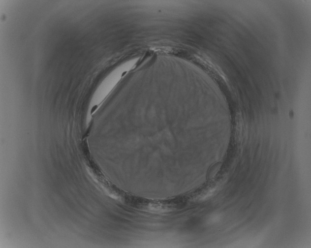 X0000081470641200702092341