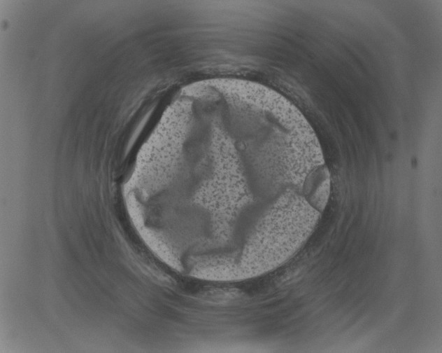 X0000081470642200702092341