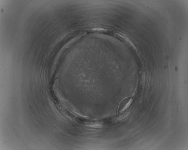 X0000081470643200702092341