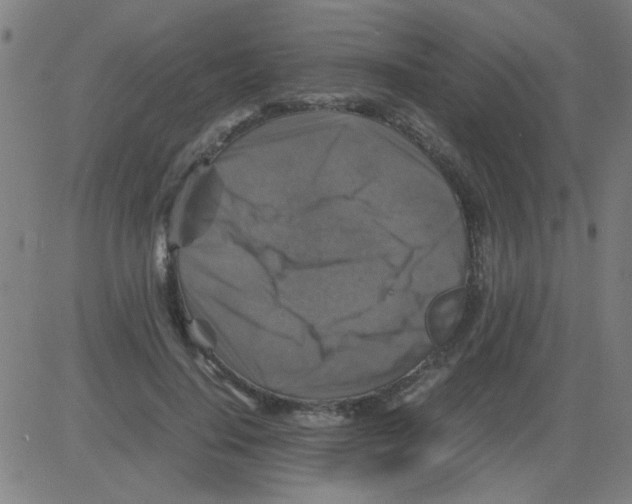 X0000081470644200702092341