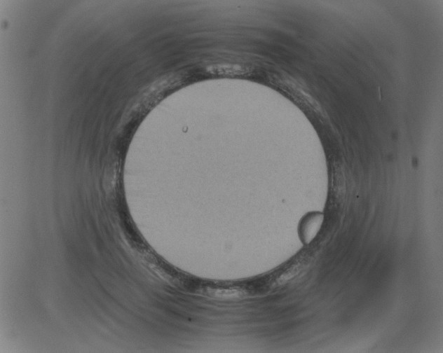 X0000081470645200702092341