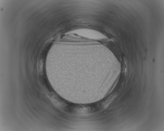 X0000081470646200702092341