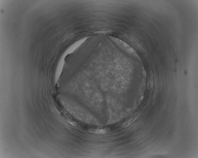 X0000081470647200702092341