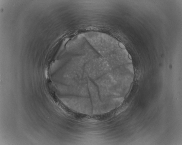 X0000081470648200702092341