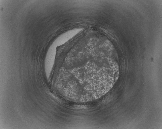 X0000081470649200702092341