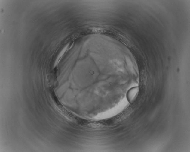 X0000081470650200702092341