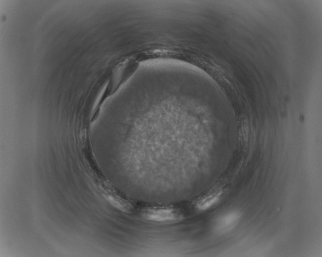 X0000081470651200702092341