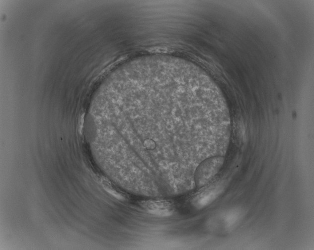 X0000081470652200702092341