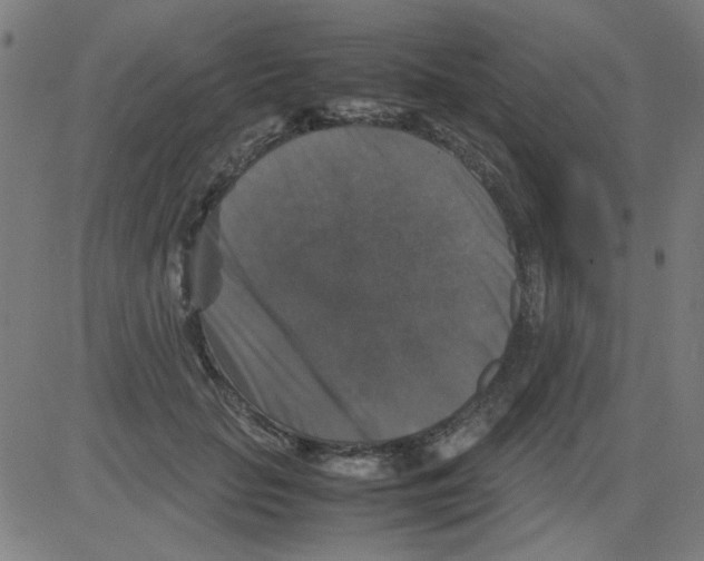 X0000081470653200702092341