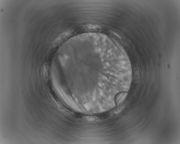 X0000081470654200702092341