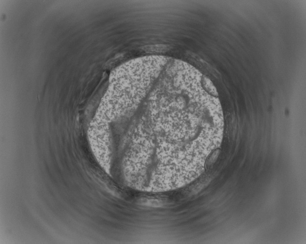 X0000081470655200702092341