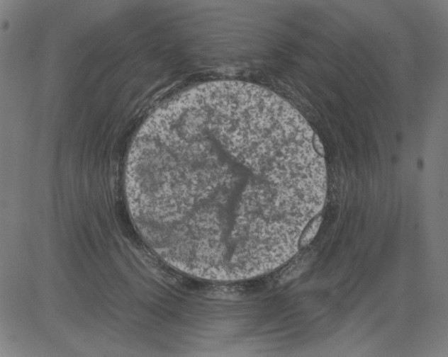 X0000081470656200702092341