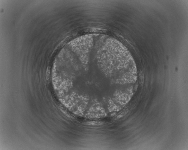 X0000081470657200702092341