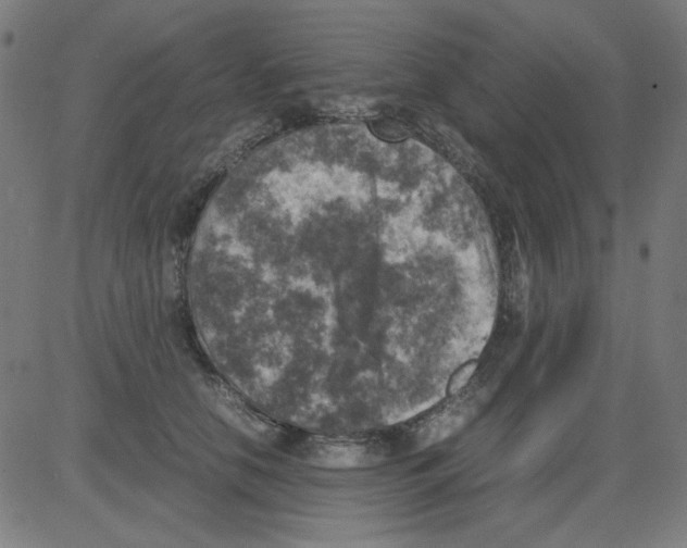 X0000081470658200702092341