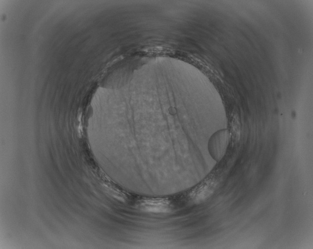 X0000081470659200702092341