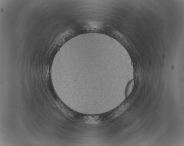 X0000081470660200702092341