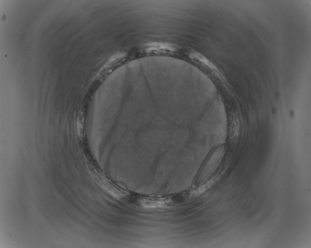 X0000081470661200702092341