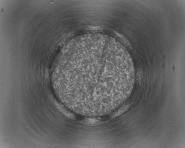 X0000081470662200702092341