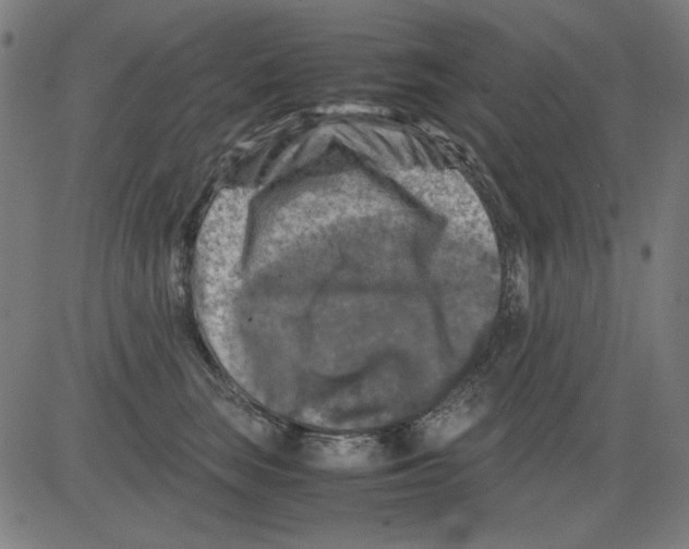 X0000081470663200702092341