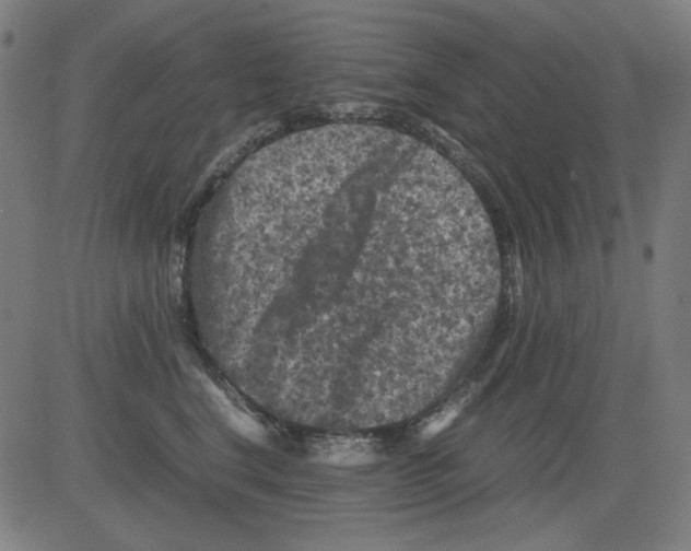 X0000081470664200702092341