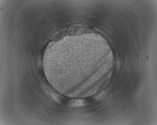 X0000081470665200702092341