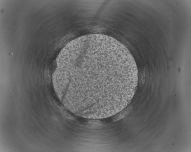 X0000081470666200702092341