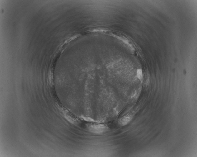 X0000081470669200702092341