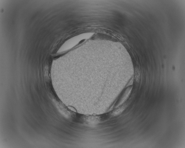 X0000081470670200702092341