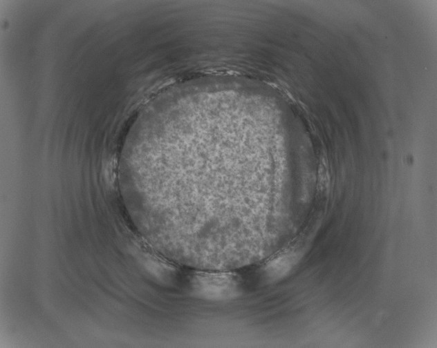 X0000081470671200702092341