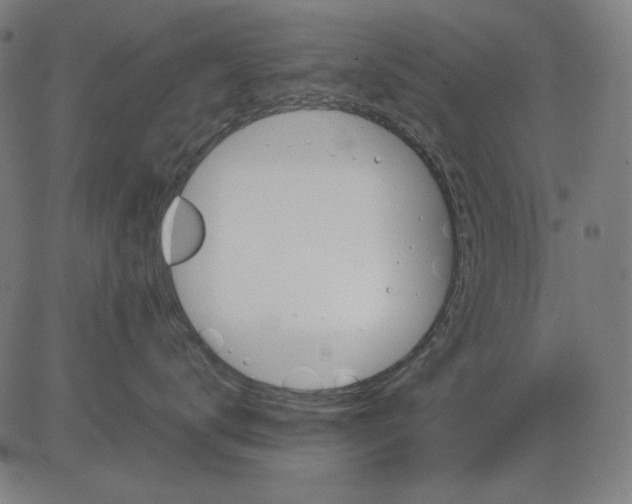 X0000081470672200702092341