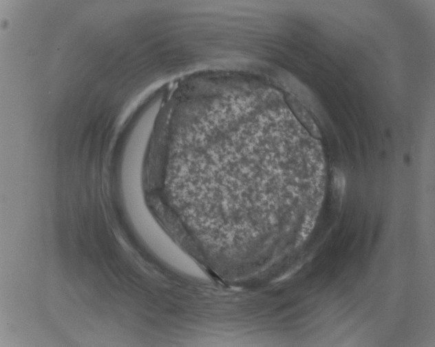 X0000081470676200702092340