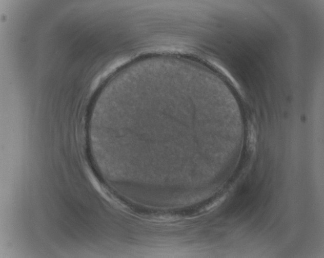 X0000081470677200702092340